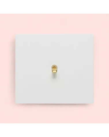 Interrupteur carré blanc– Levier 5 couleurs au choix