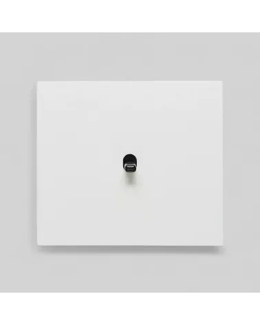 Interrupteur carré blanc– Levier 5 couleurs au choix