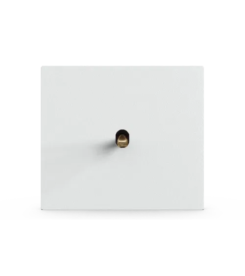 Interrupteur carré blanc– Levier 5 couleurs au choix